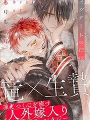 标本柜四号抽屉中的漫剧标签样本预览
